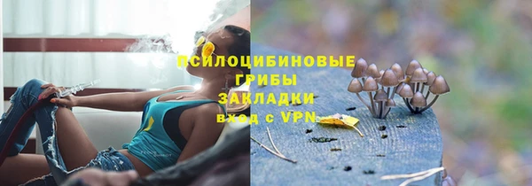 соль курить ск Осинники