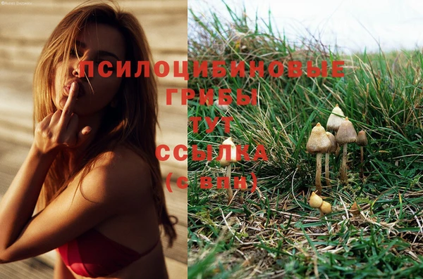 соль курить ск Осинники