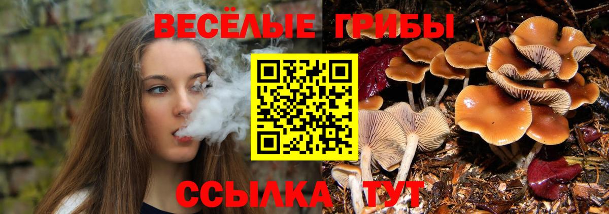 Псилоцибиновые грибы прущие грибы Тобольск