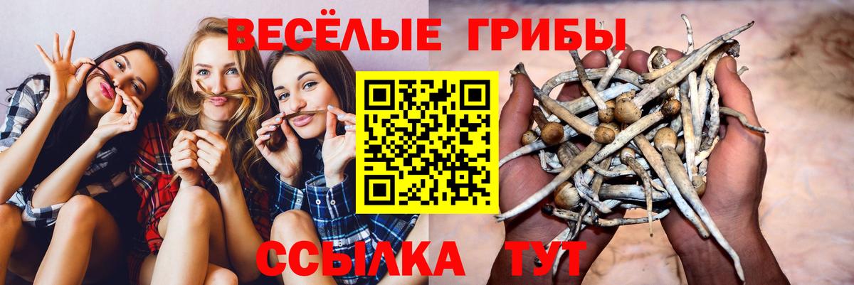 Галлюциногенные грибы мицелий  Тобольск 